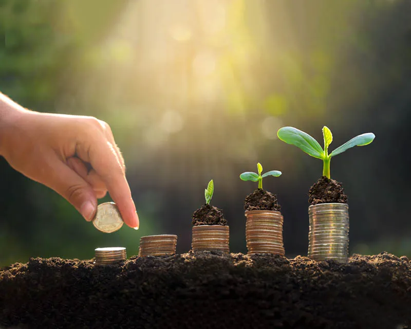 يداً بيد نبني ونعمر